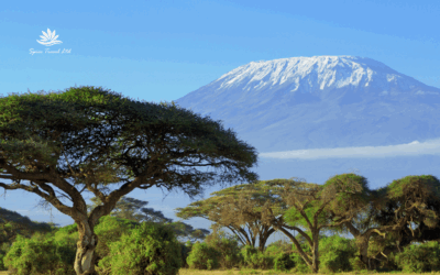 Mount Kenya vs. Kilimanjaro: Which Adventure Is Right for You?