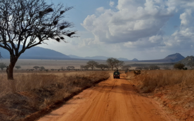 Top 10 Must-Visit Destinations in Kenya Beyond the Maasai Mara