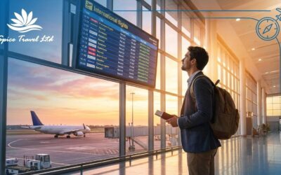  How to Find Cheap Flights from Nairobi Without Compromising Comfort