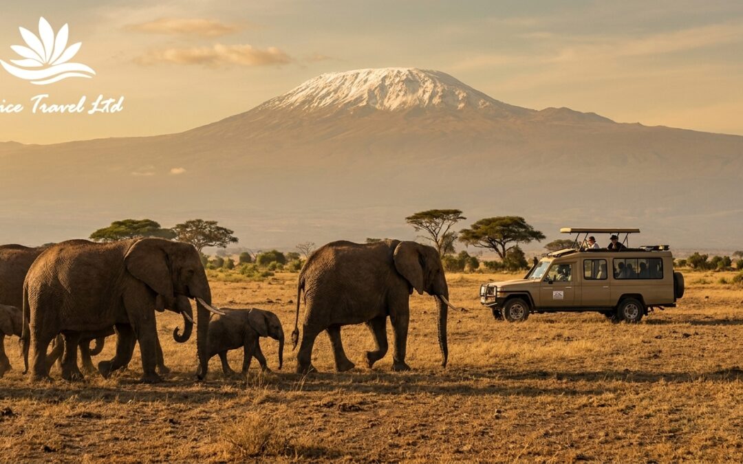 Amboseli National Park Safari