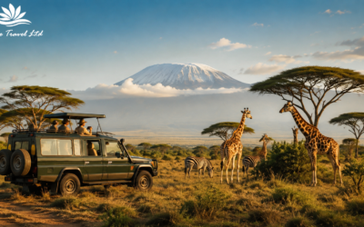 Kenya’s Peak Wildlife & Holiday Season: Your Guide to Nairobi’s Best Tours And Travel Companies